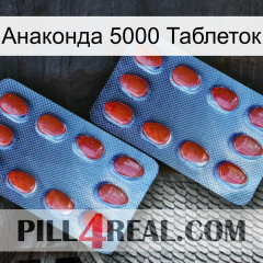 Анаконда 5000 Таблеток 05